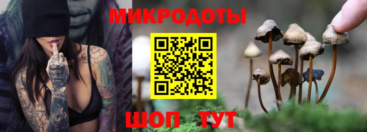 Отрадное  Галлюциногенные грибы прущие грибы  Вход с VPN 